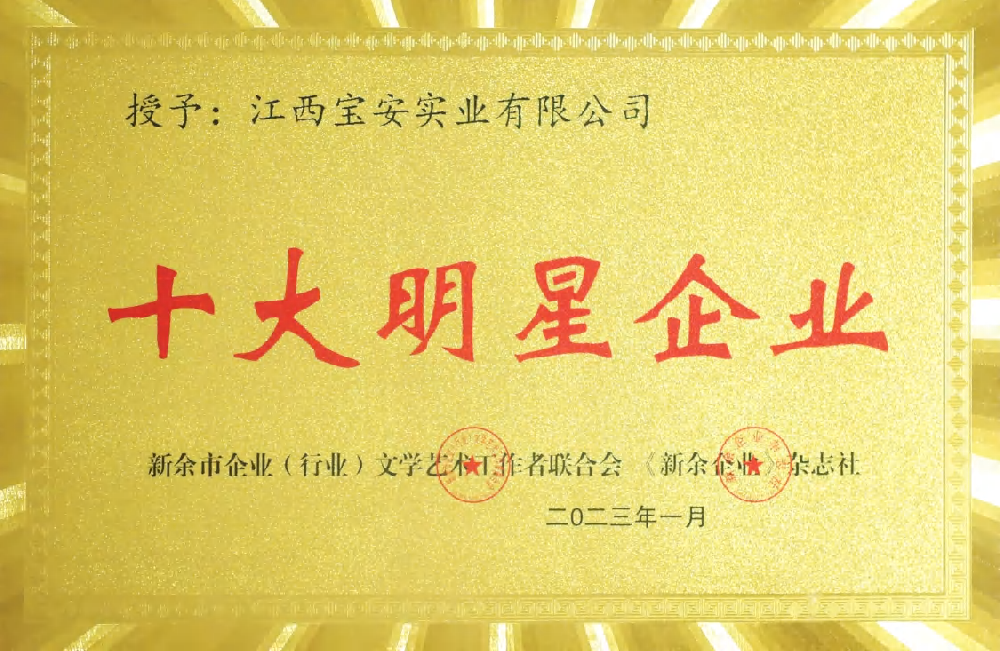 十大明星企業