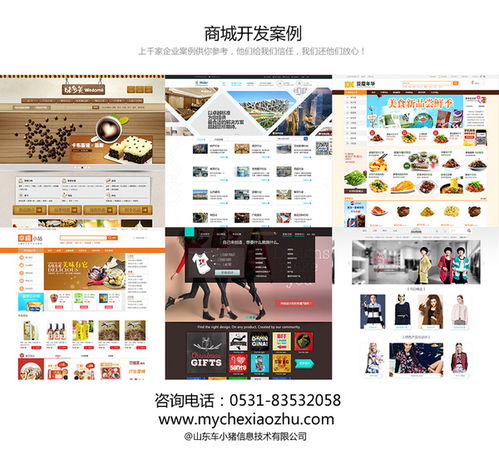 德州商城網站設計開發 seo策劃案